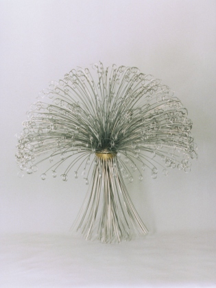 Scheele Altersaggressive Plastik WN 271