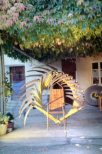 Main Zyklus Herrnaeckerle