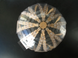 Wunsch - Garten - Kuppel